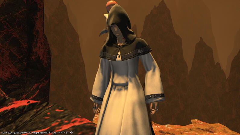 unlocks a dungeon that looks like a literal representation of hell "This is fine... Don't panic! Everything is fine! You trained for this, Novi! It's literally your ONE JOB!"