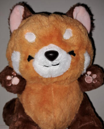 A Starlight Gift, Named Mr Automa (^-^)_日